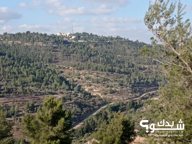 Mixed Use Land for Sale in Bethlehem AlWalaja