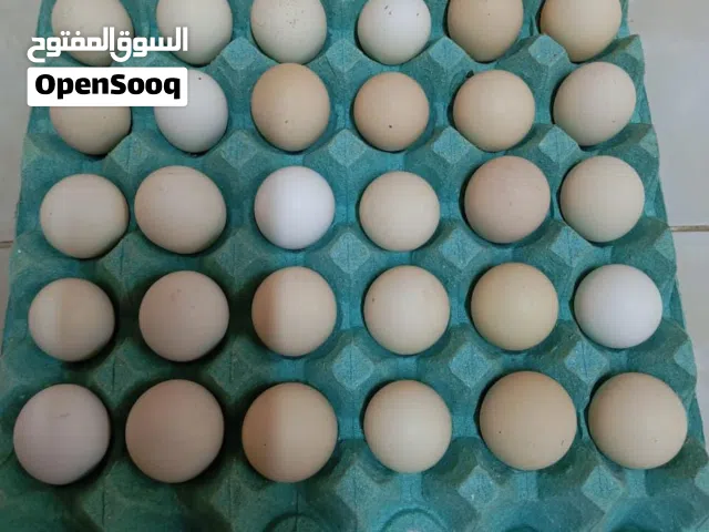 متوفر بيض دجاج  مخصب مشكل في شيت  الانواع في الوصف