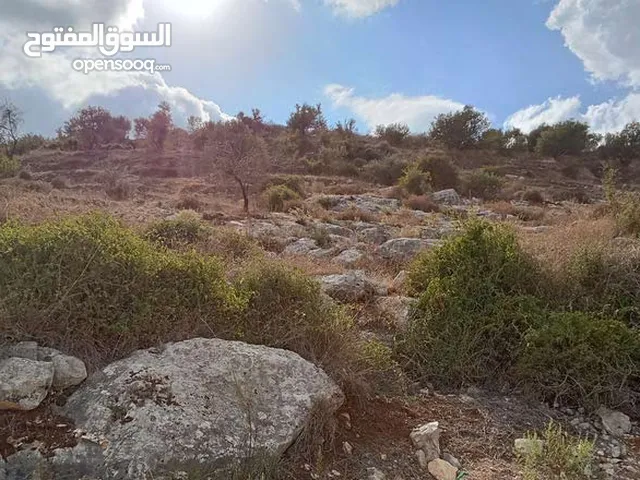 ارض في عنبتا الجبل الجنوبي تصنيف أ مساحه 1403