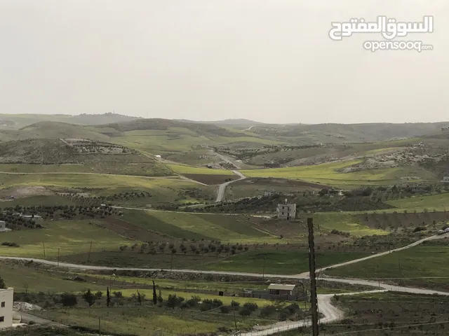 أرض بسعر مغري