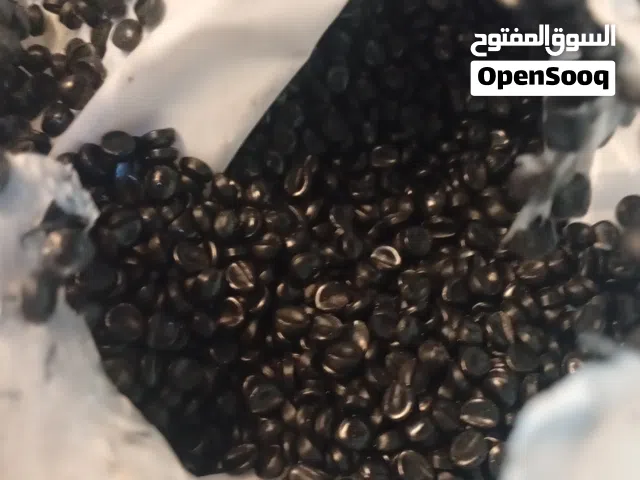 بلاستيك خام حبيبات