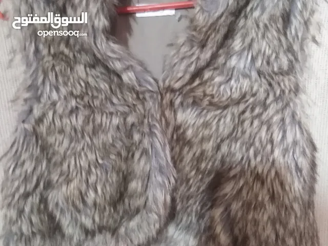 Gilets Jackets - Coats in Basra