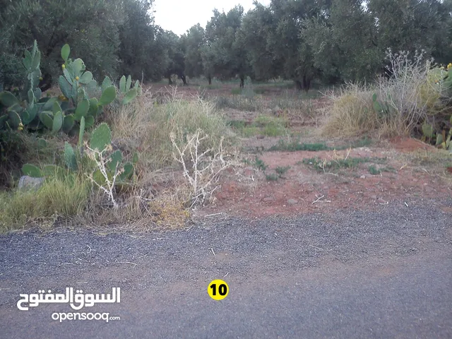 أرض فلاحية للبيع بالعطاوية