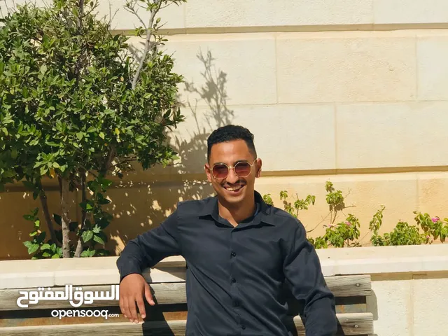 محمد ابو الشيخ