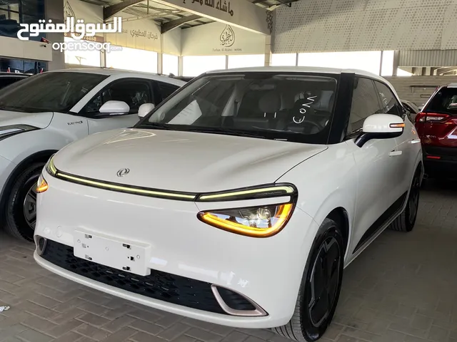 2023 Dongfeng Nammi Box 01