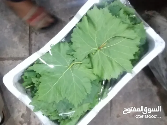 دوالي بلدي نخب