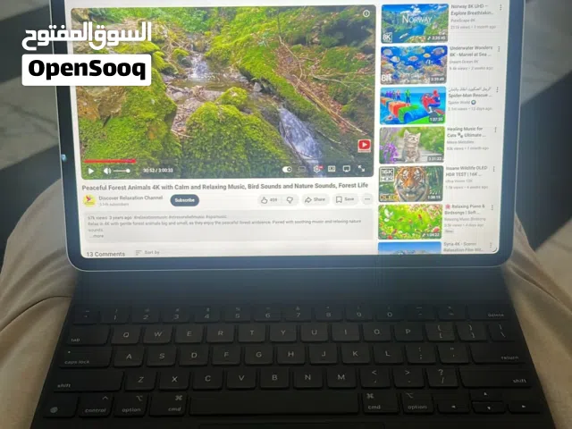 Apple iPad pro 4 256 GB in Amman