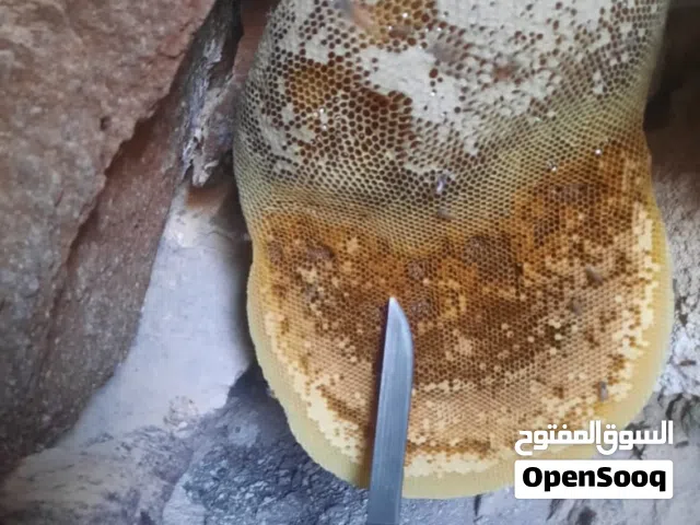 عسل عماني بوطويق