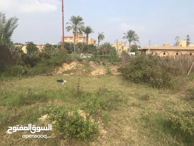 Mixed Use Land for Sale in Ismailia Fayed