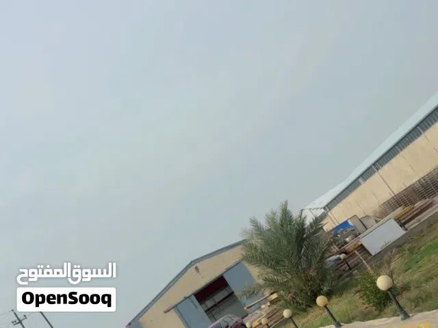 مجزرة دجاج في بغداد للبيع (مجازه رسمية)