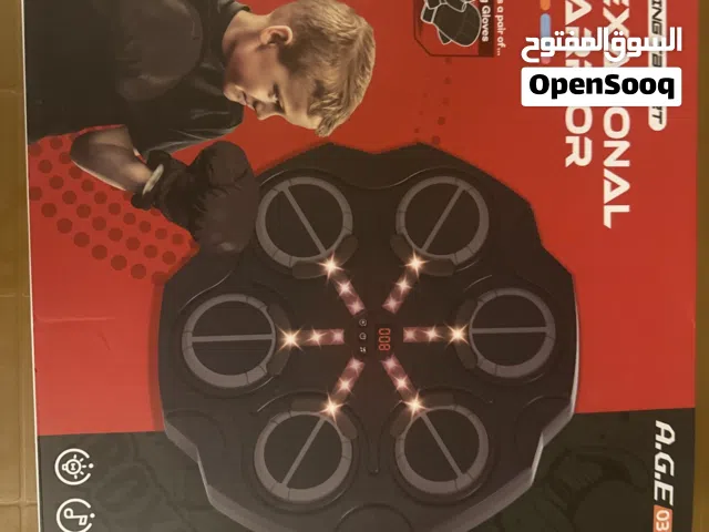Boxing target