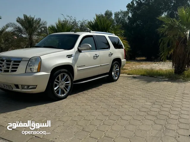 New Cadillac Escalade in Mubarak Al-Kabeer