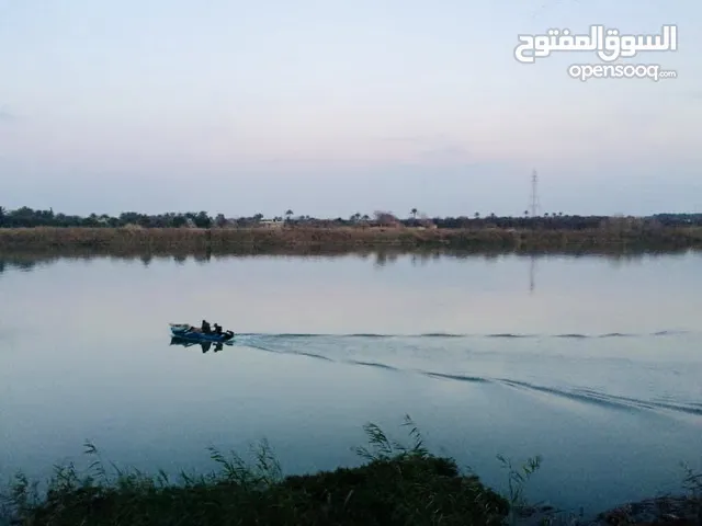 مزرعه ( شاطيه ) ( طابو ملك صرف ) مطله على نهر دجله موقع جداً مميز مساحه 812 متر مع واجهة جداً مميزة