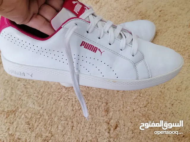 42 Sport Shoes in Amman