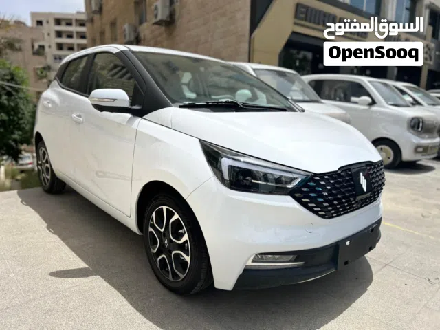 2026 JMEV EV3