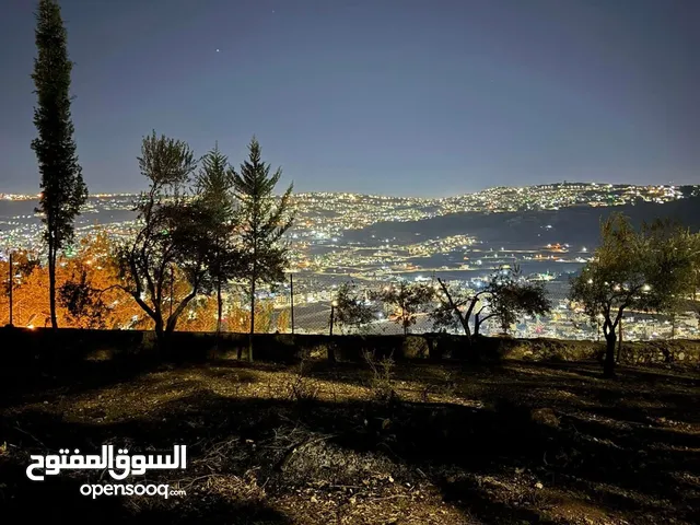 دونم للبيع في السلط السرو