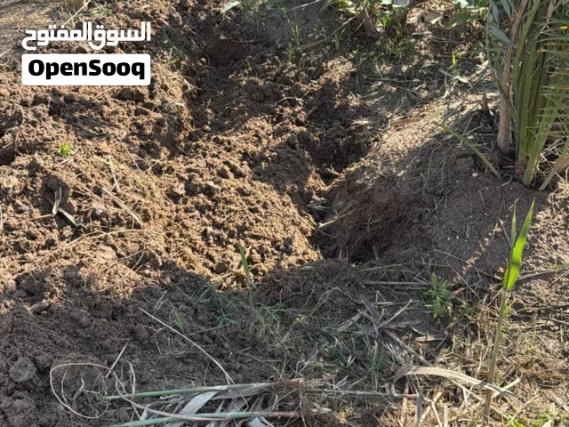 فسائل برحي نسيجي خشنات نوعيه ممتازه تعال واشلع الي يعجبك