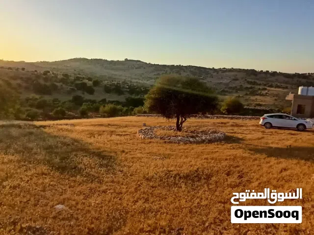 Farm Land for Sale in Ajloun A'fna