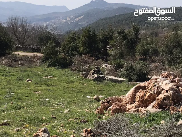 Mixed Use Land for Sale in Ajloun Other