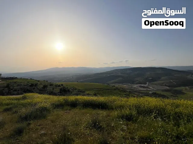 ارض للبيع في جرش عنيبه بجانب اسكان المهندسين اطلاله بانوراما على المدينه السياحيه البيئيه