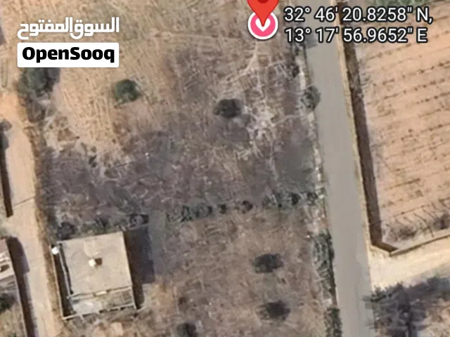 Mixed Use Land for Rent in Tripoli Ain Zara