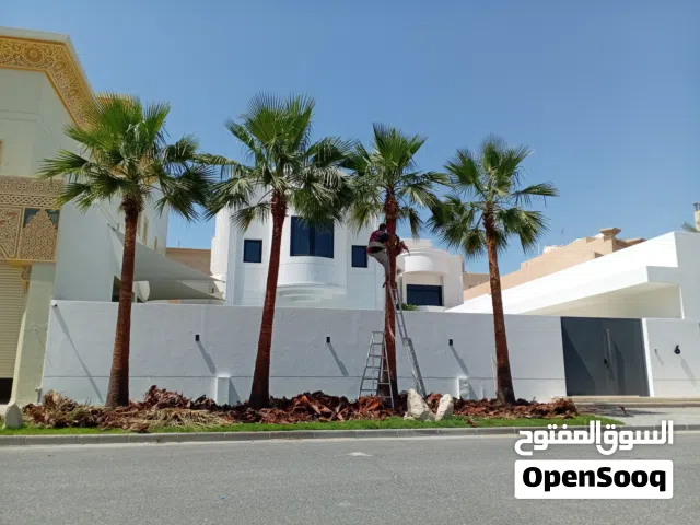 أعمال وحدائق وأشجار ونخيل