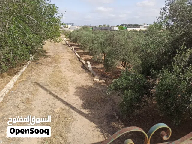Mixed Use Land for Sale in Tripoli Tajura