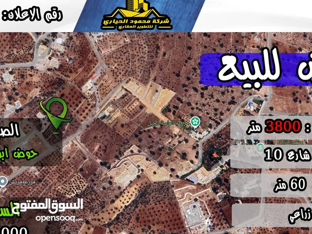 رقم الاعلان (2904) ارض زراعية للبيع في منطقة الصبيحي