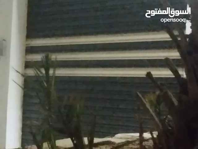 ابو ريان وحيدي