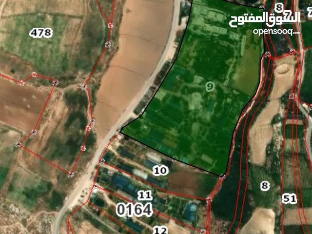 Farm Land for Sale in Amman Naour