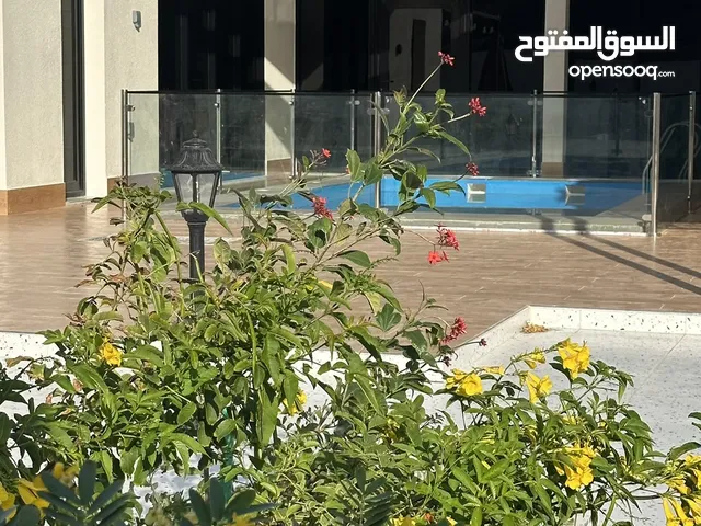 شالية بيوني للاجار في ولاية صور /مدينة قلهات