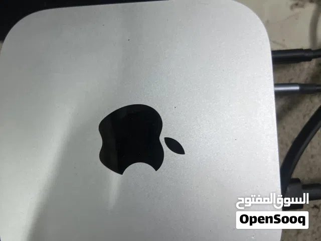 mac mini m4