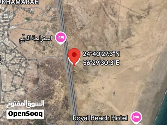 أنا المالك للبيع ارض زراعية في شناص سور بني حماد على الخط الأول من طريق الباطنة الساحلي