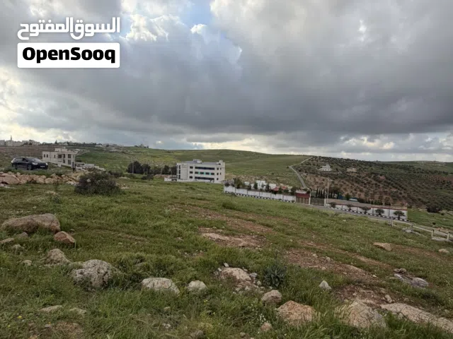 Residential Land for Sale in Amman Shafa Badran