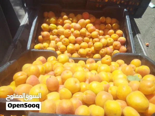 مشمش بلدي ممتاز