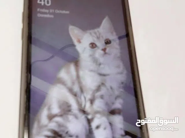 Oppo A5s 32 GB in Blida