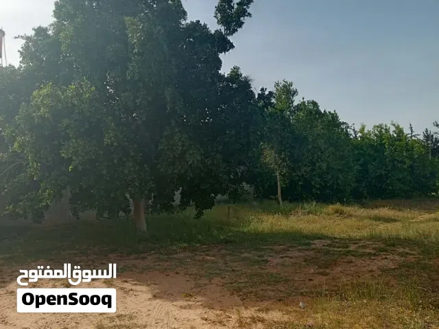 More than 6 bedrooms Farms for Sale in Tripoli Sidi Al-Sae'a