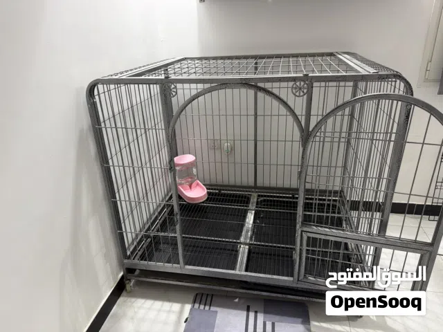 قفص كبير الحجم مع طوق للكلاب و لمبة كشف البول و قفص متوسط الحجم للتدريب مع فرشة حجم وسط