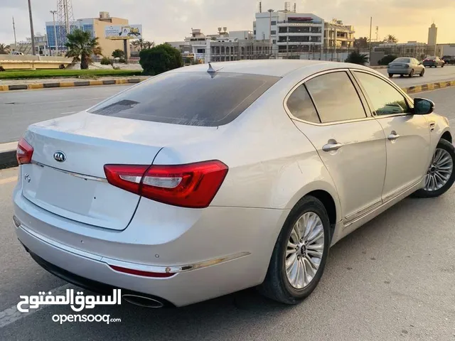 كادينزا 2015