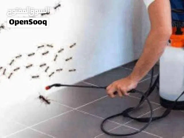 شركه مكافحه حشرات بيت ابوك النمل