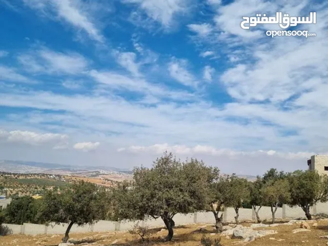 Farm Land for Sale in Zarqa Al-Alouk