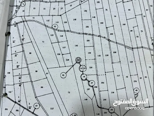 ارض للبيع في بلعما مساحة دونم