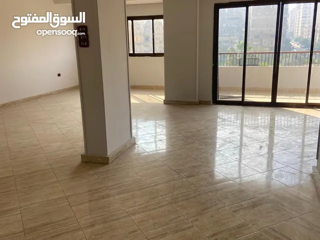 220m2 3 Bedrooms Apartments for Rent in Cairo Nasr City