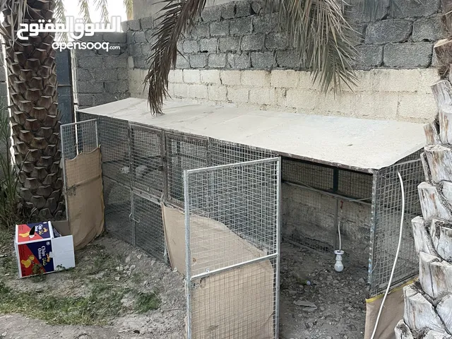 اقفاص محاكر