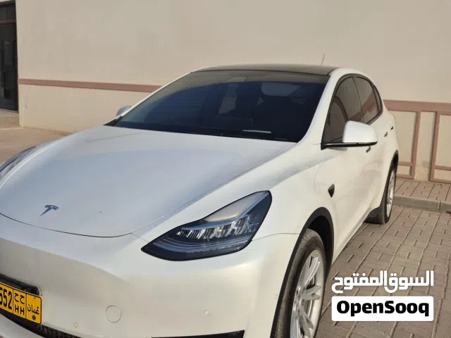 2022 تيسلا موديل Y Long Range