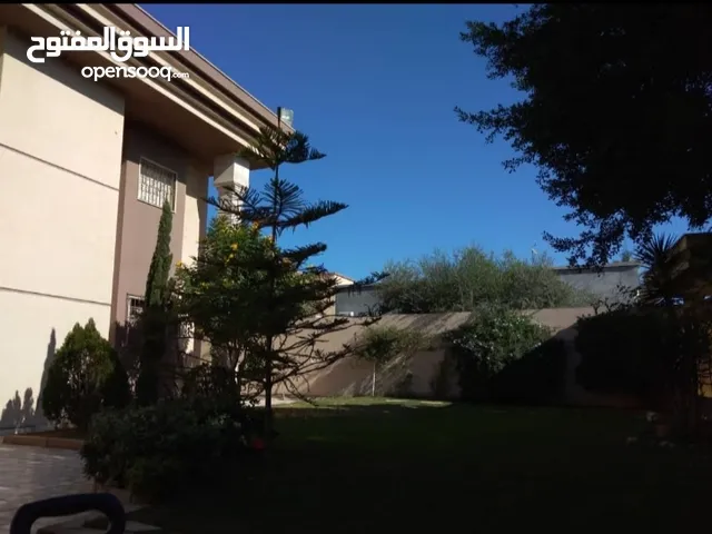 900 m2 More than 6 bedrooms Villa for Sale in Tripoli Al-Shok Rd