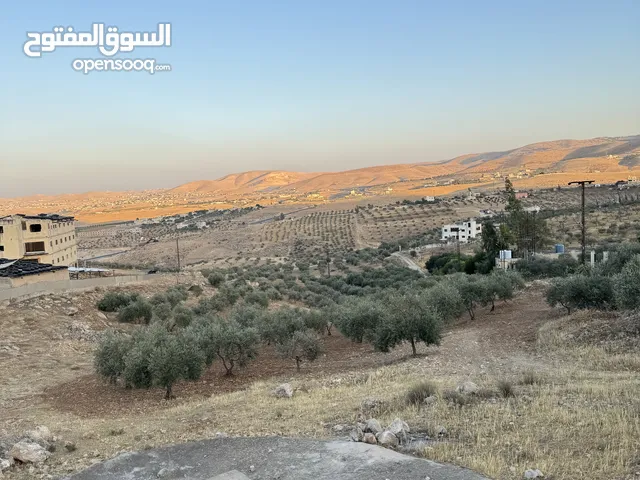 ارض مرتفعه للبيع