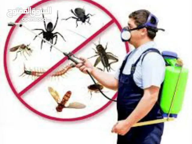 الصفوة لمكافحة الحشرات  (الكتن بق الفراش ) والقمل  والصراصير والنمل والارضة