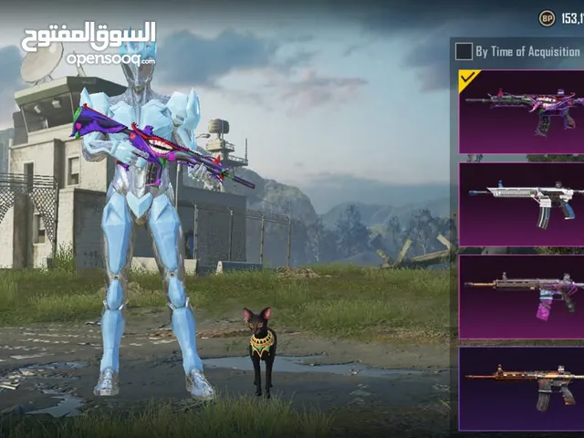 Pubg Accounts and Characters for Sale in Amman