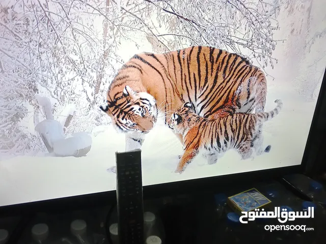 شاشه ايواء32بوصه الشاشه اسمارت اقتصاديه في الكهرباءصنعاعه يابنيه نضيفه جدا حاجه روعه السعر45الف